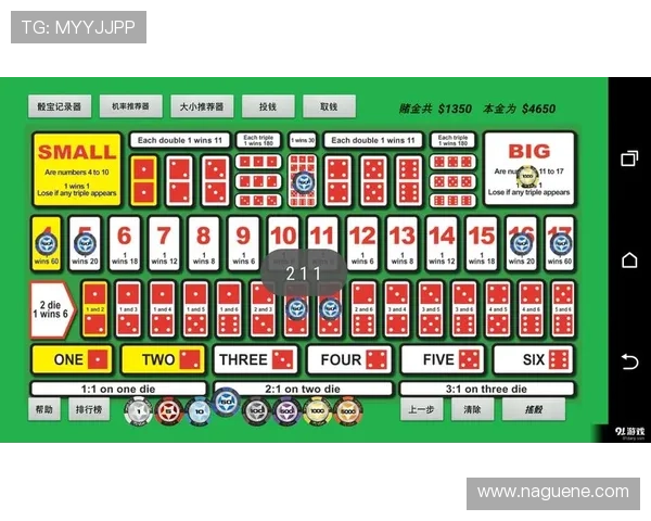 新手必看骰宝入门指南快速掌握游戏规则与玩法技巧